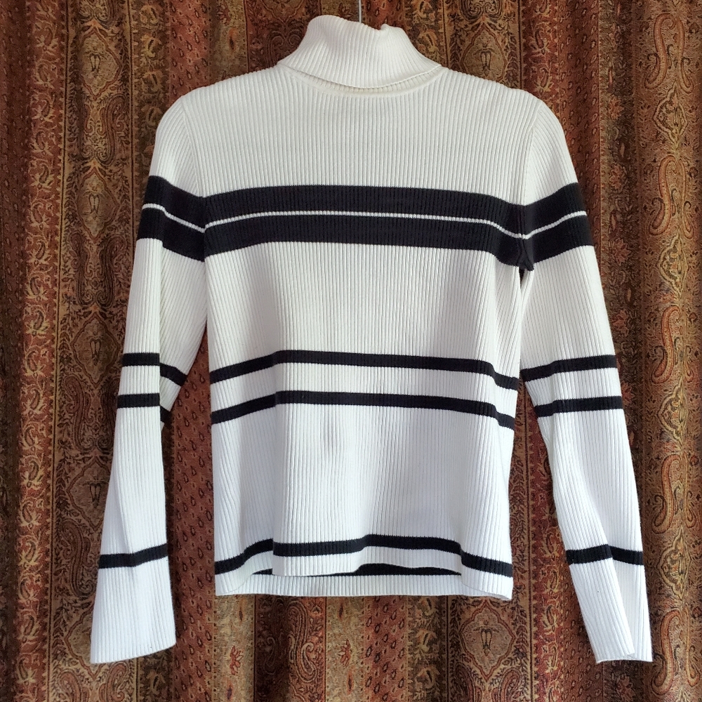 Stripped Turtleneck